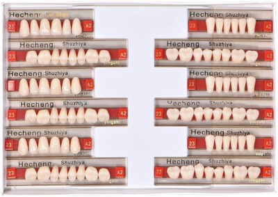 Angzhili 84 Stück Dental Acryl Harz Zahnersatz Falsche Zähne 3er Set Synthetik FarbtonA2
