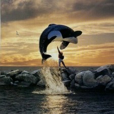 Vintage 1993 Free Willy Ticket Jason James Richter Lori Petty Michael Madsen