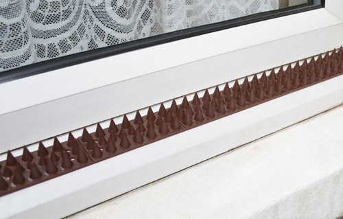 Garden Fence Wall Spikes Security Bird Cat Repellent Intruder Burglar Anti Climb - Picture 10 of 21