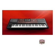 KORG PA700 Professional Arranger Keyboard