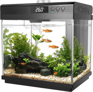 3.7 Gallon Aquarium Kit de démarrage Petit réservoir de poisson en verre W/ Filtre & lampe