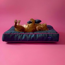 Dog bed with removable micro suede cover, fashion bed Blue Navy For Small Dog