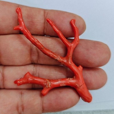 Natural Italy Red Coral Branch Vintage Mediterranean Coral Jewelry Making Rough