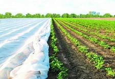 DeWitt Plant Protection (multiple sizes and weights)