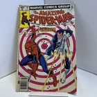 The Amazing Spider-Man #201 Marvel Comics 1980 Punishe