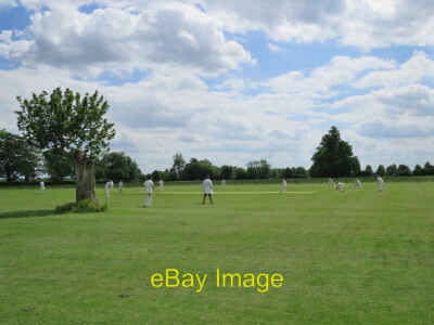Foto 12x8 Newton Cricket Ground: Ein Baum auf dem Spielfeld Der Baum auf c2019