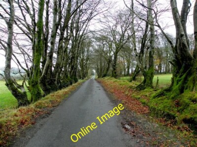 Photo 6x4 Slievebeg Road, Derbrough Plumb Bridge Heading north c2013