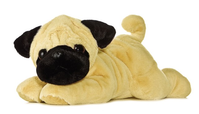 aurora pug