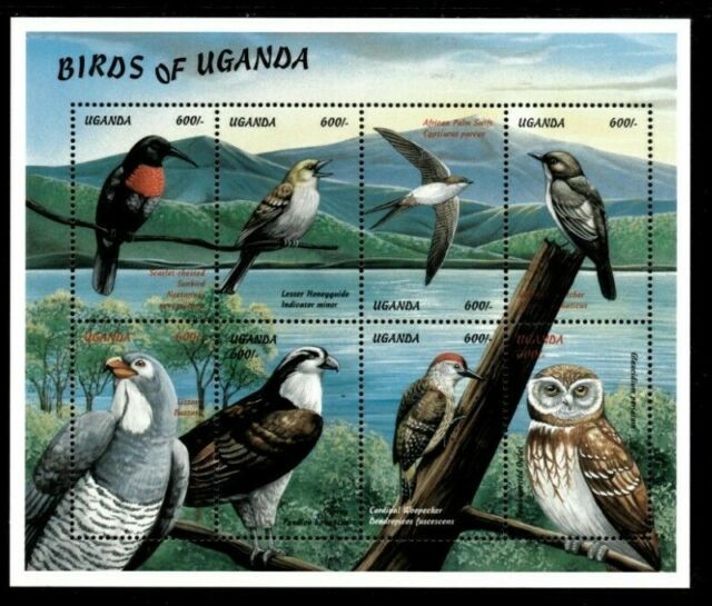 Uganda 2000 - BIRDS OF UGANDA - Sheet of 8 stamps - MNH ZV7706