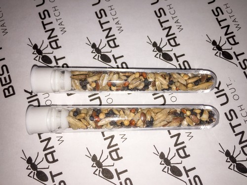 Live Queen Ant Food Jelly Harvester Ants Organic Seeds Mix Protein Best Ants UK - Picture 12 of 15