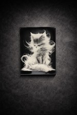 Tableau chat mystique poils flottants art noir et blanc décoration murale 30x40 