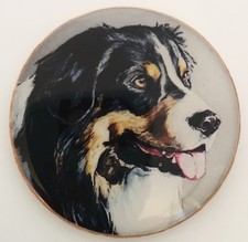 Broche prendedor de arte original de perro pastor australiano