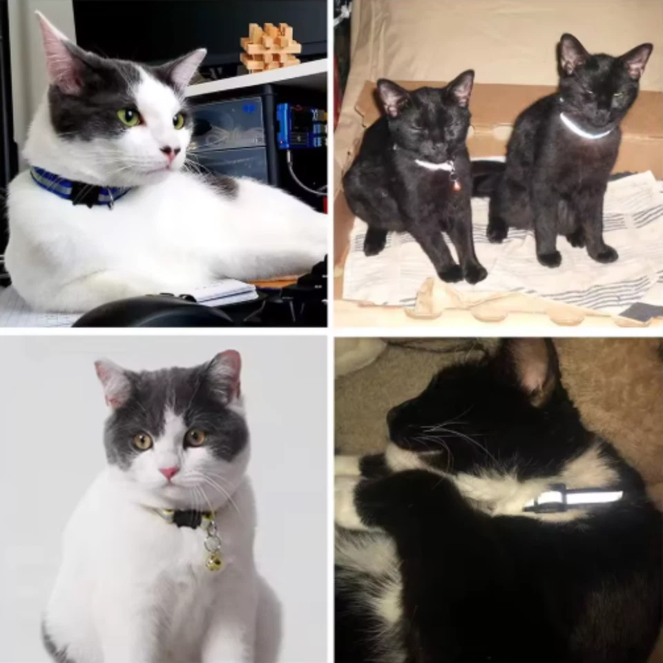 Reflective Customised Cat Collar Adjustable Personalized ID Collar For Cat Puppy - Image 3 of 4