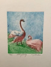 WJ Graham Animal Lithography Batch Sale Signed and Numbered Unframed 3 pieces