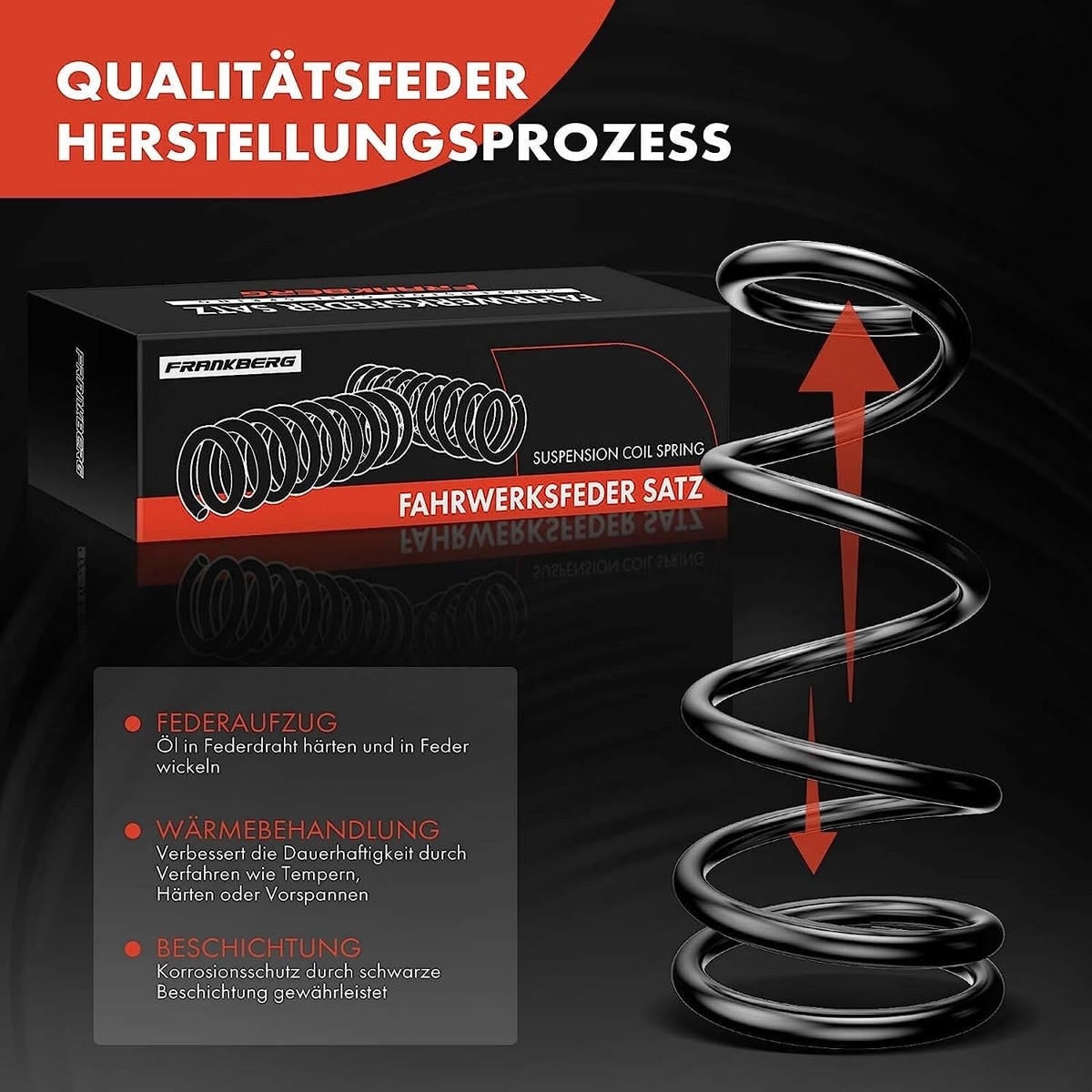 Frankberg 2x Ressorts à Gaz pour Hayon Compatibles avec 147 937 1.6L 1