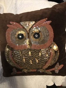 pier one sequin pillow