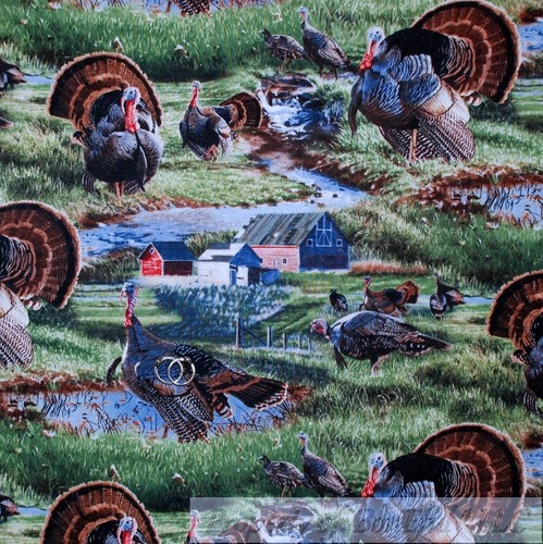 BonEful Fabric FQ Cotton Quilt Turkey Bird Thanksgiving Farm Barn Water Scene US - 第 1/11 張圖片