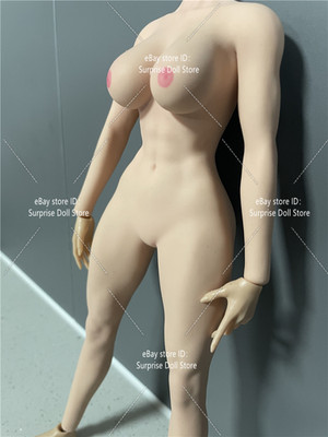 ANT T307 1/6 Female Seamless Body Muscle Normal Large Bust Plump For 12'' Figure
