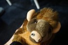 Vtg. 2001 Wishpets Buff stuffed  buffalo from the Denver US Mint in Colorado — photo 6