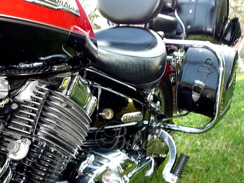 Yamaha Dragstar XVS 650 A V-star XVS650 Rear Crash Bars Heavy Duty Guards - Foto 5 di 9