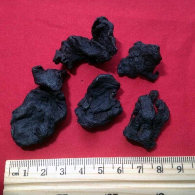 XYP Jiuhuangjing Jiu Huang Jing  酒黄精 100Gram