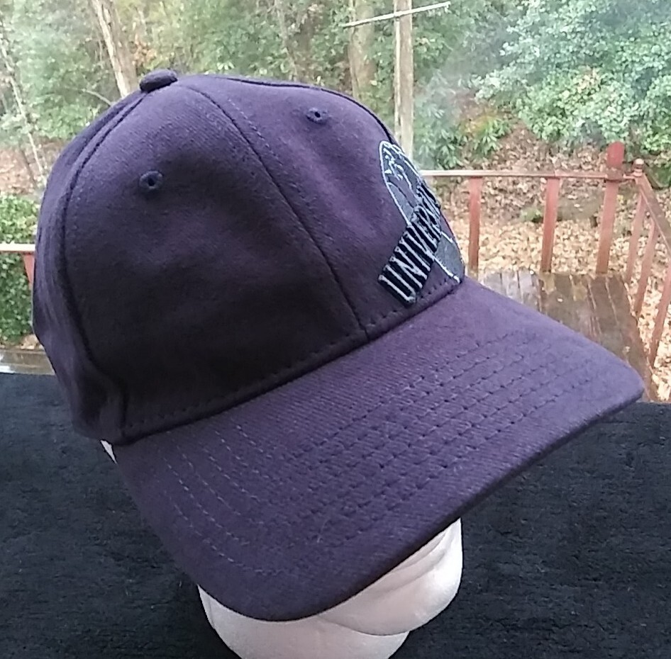 Universal Studios Navy Blue Baseball Hat 100% Cot… - image 2