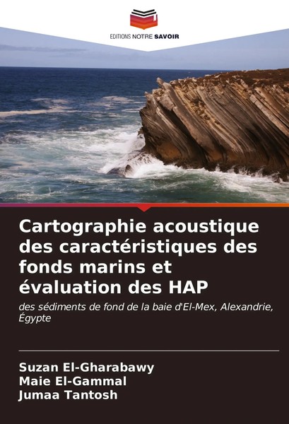 Cartographie Acoustique Des CaractéRistiques Des Fonds Marins Et éValuation...-image