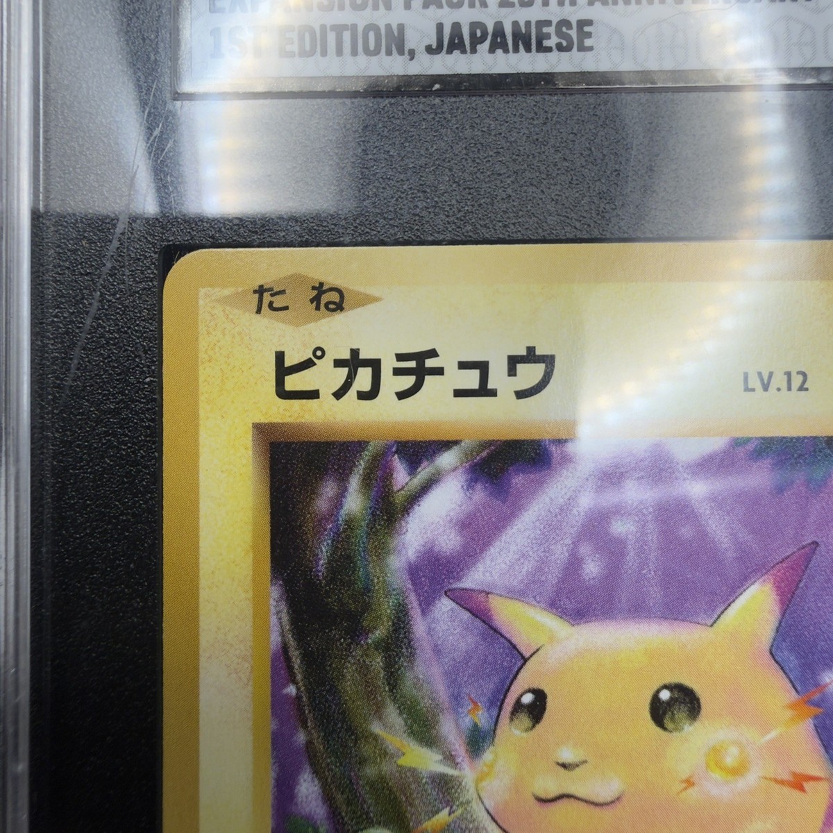 ★PSA10★【ピカチュウ/C/CP6/初版】PIKACHU 033/087 PSA 10 Pikachu 033/087 CP6 EX PACK 1st Edition 20th Anniversary