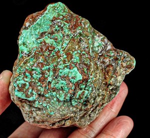 1368Ct Arizona Turquoise Rough Specimen Old stock YNS2576