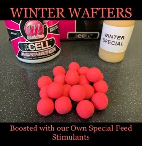 15mm cell boilies