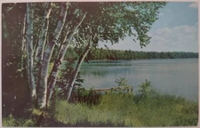 Vintage Postcard Greetings From Pound Ridge New York Lake View AA52