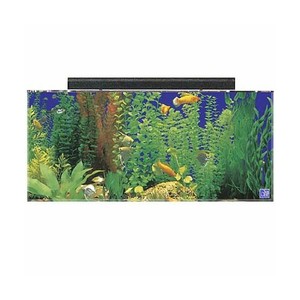 seaclear acrylic aquarium combo set