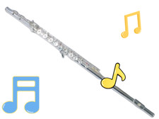 1 Professional grade silver plated flute with 17 holes, E key and B tail