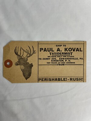 Vintage Paul A. Koval Taxidermist Large Game Tag Edwardsville PA Luzerne County