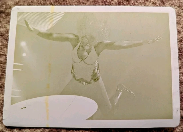 TAMINA SNUKA - 2012 Topps WWE Printing Plate - #1/1 - 1 of 1 made