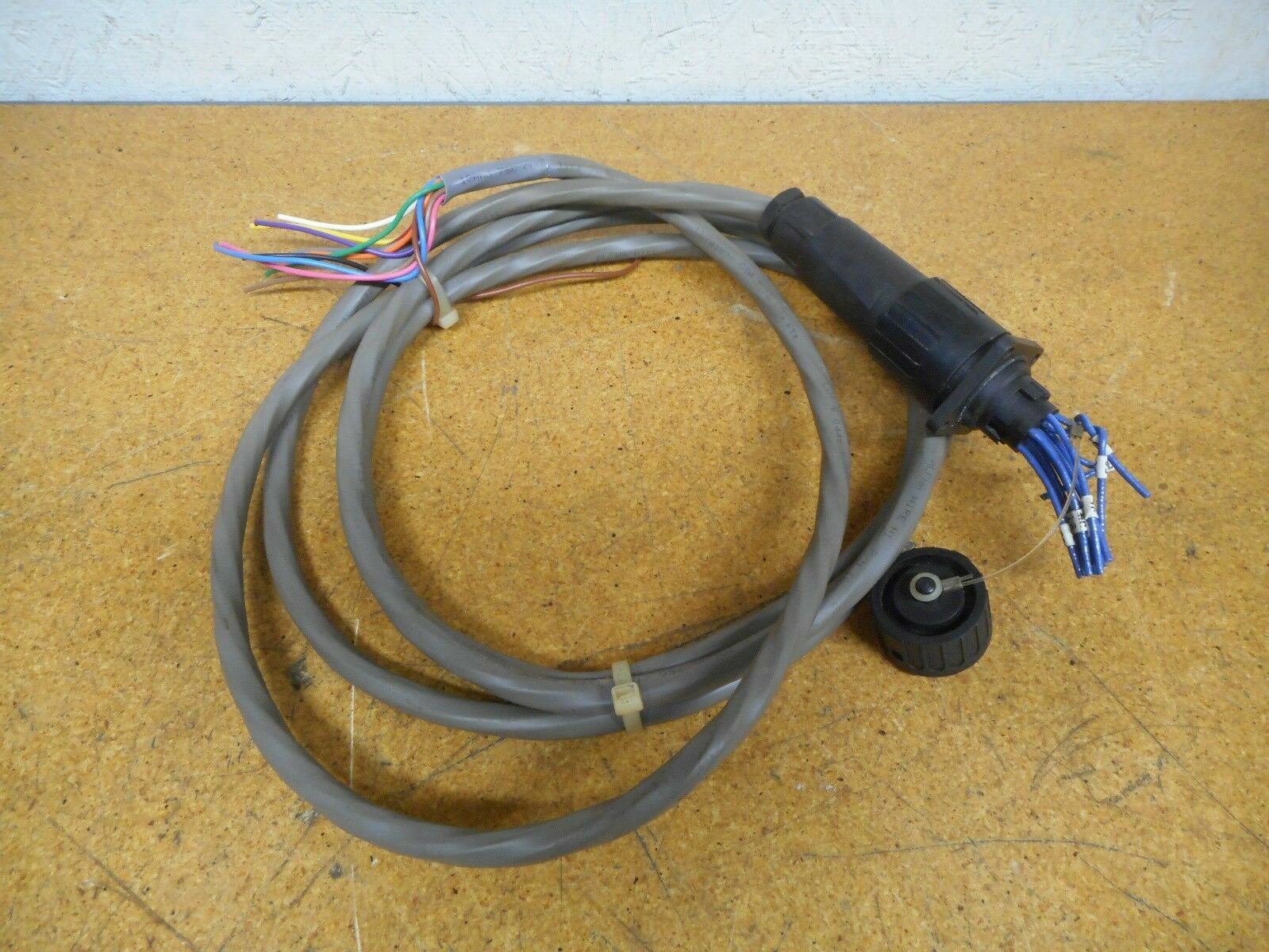 Amphenol C163 12 Pin Male/Female Connectors Approximately 6Ft Cable
