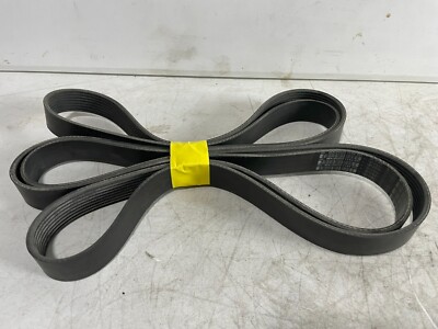 Serpentine Belt - Daycon Poly RIB Gold Label P | eBay