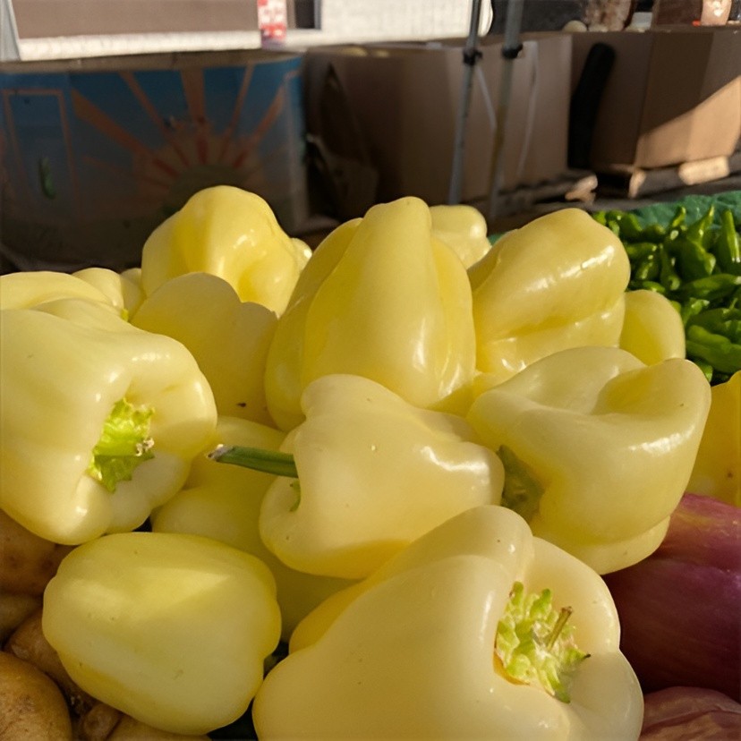 100 Heirloom White Cloud Bell Pepper Seeds - Giant Extra Sweet White Bell Pepper