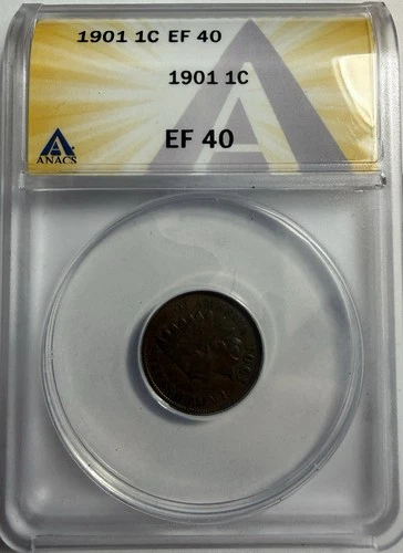 1901 India Head Penny - ANACS EF 40 - Just Graded/New Holder (Twisted)