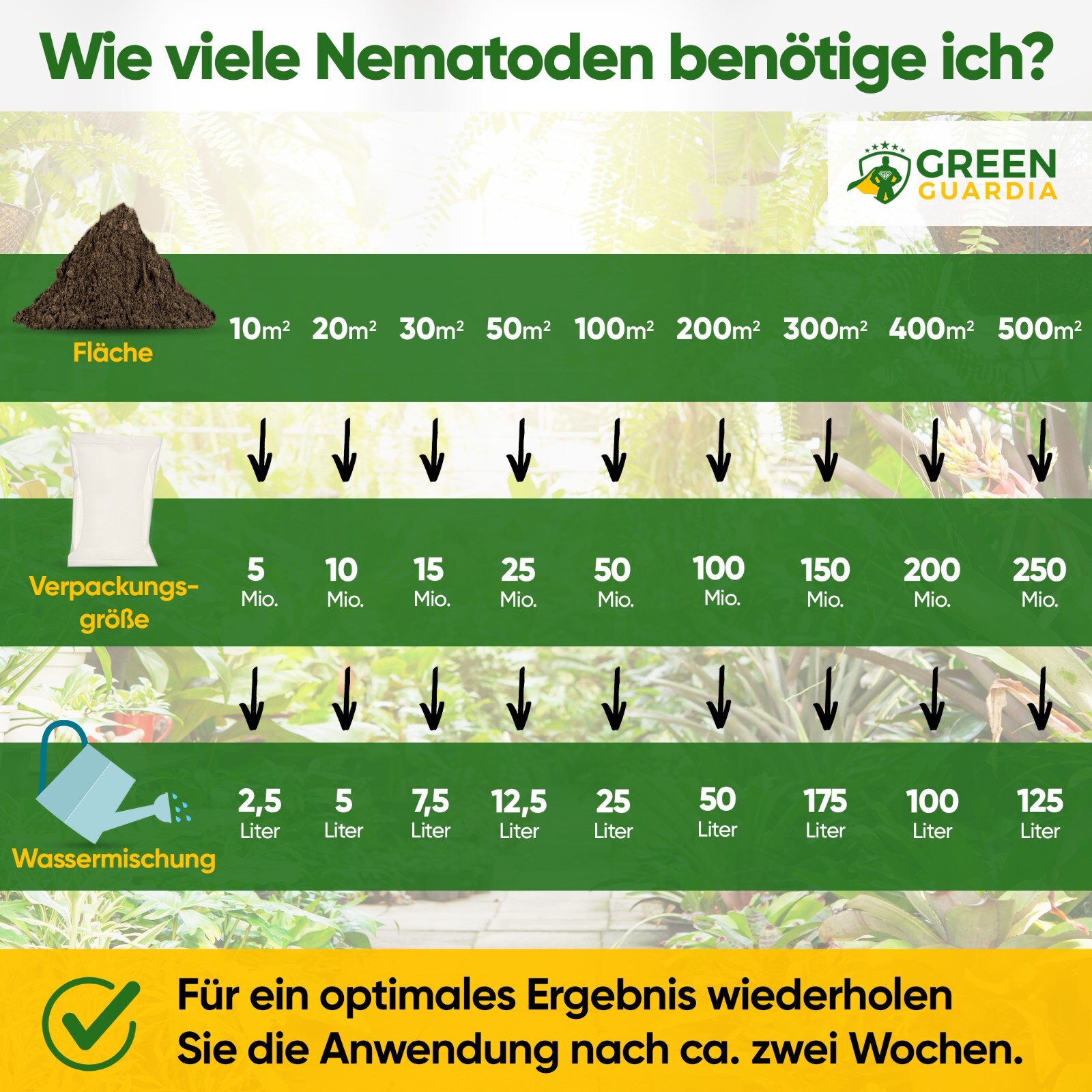 Bild 4 von 50
