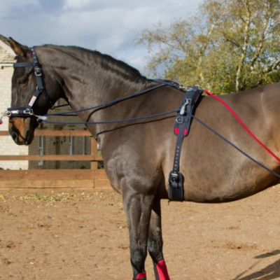 John Whitaker Trainingssystem