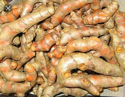 Fresh Turmeric Roots 8oz, Buy 3 Take 8 oz Free