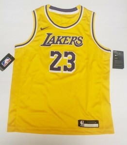 youth lakers lebron jersey