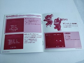 PCE WORKS Ver. SPLATTER HOUSE FM TOWNS / MARTY  Beat 'em up Game, tested-e0221--
