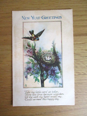 Vintage Postkarte Neujahrsgrüße Vogel & Nest Raphael Tuck Aquarell N1010