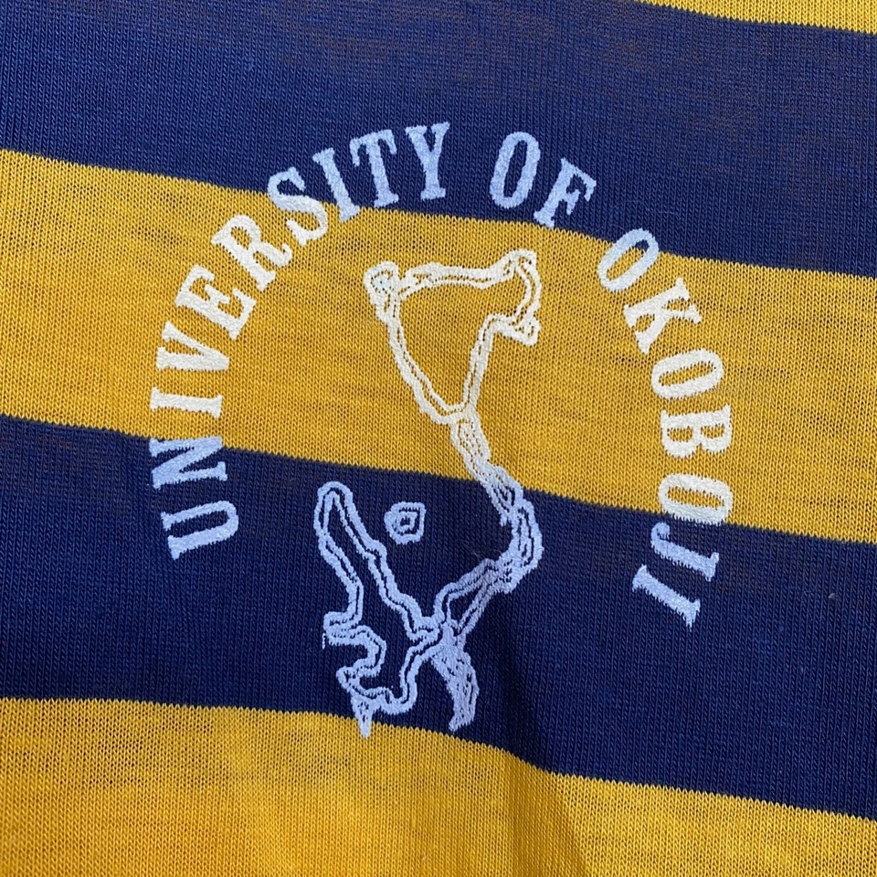 1970s Vintage CHAMPION BLUE BAR Striped Polo University of Okoboji T-shirt Foto 3 de 4