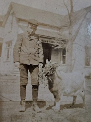 Antique Photo Boy With Goat Farm Portrait Mounted Sepia Child Animal Early 1900s