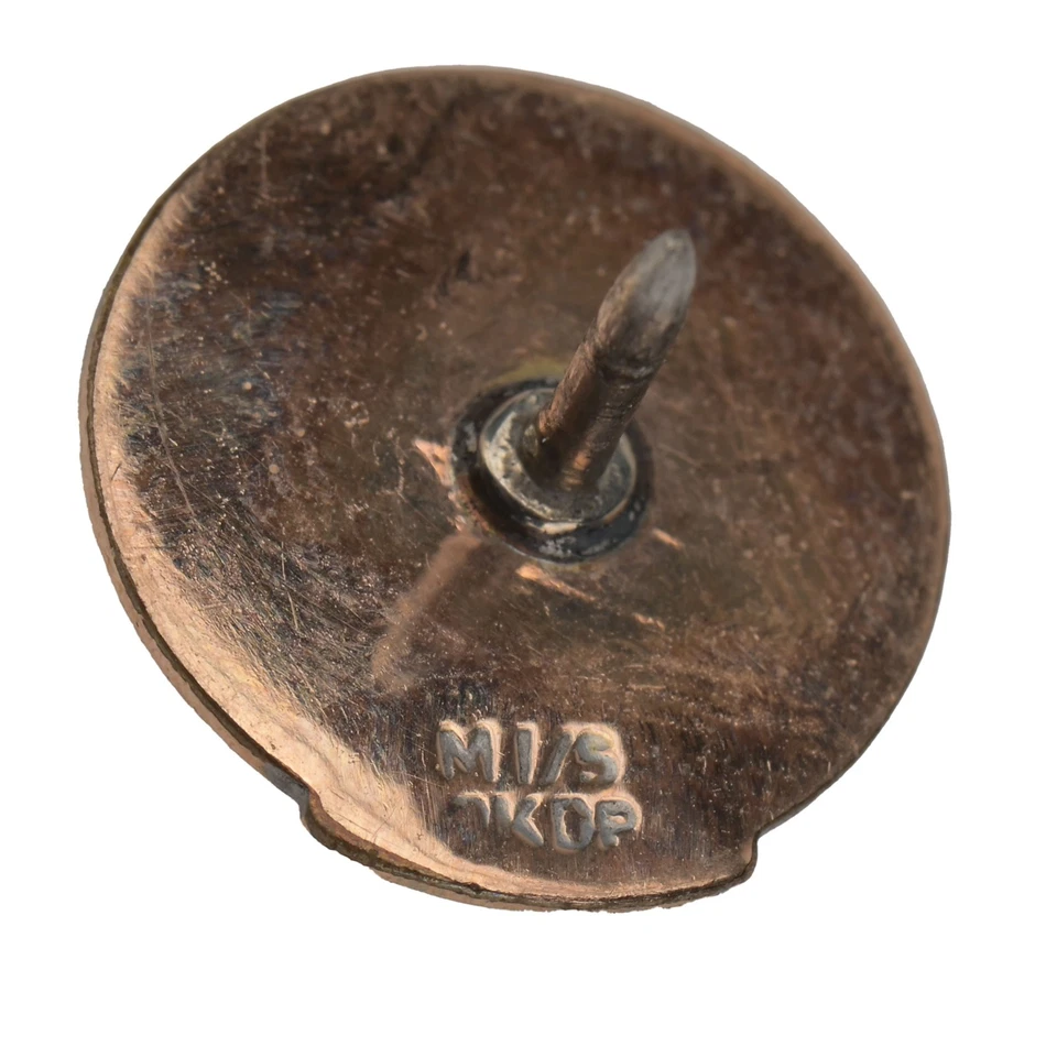 Pin dorado vintage del dueño de Chevrolet Corvette de Balfour - GM original de los años 50-60 Foto 3 de 4