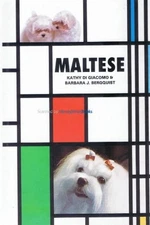 Maltese