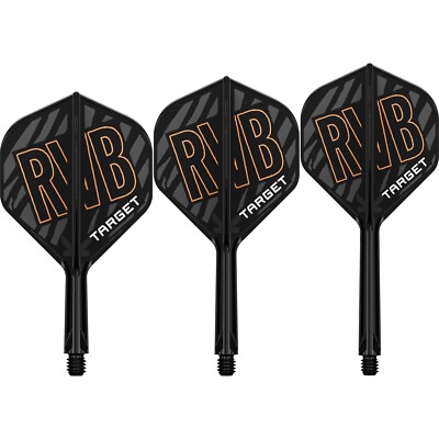 Target - K-Flex Flightsystem Raymond van Barneveld - No2